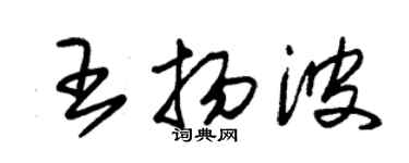 朱錫榮王揚波草書個性簽名怎么寫