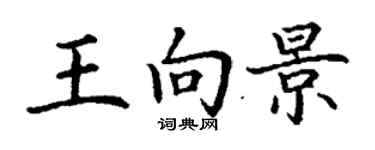 丁謙王向景楷書個性簽名怎么寫