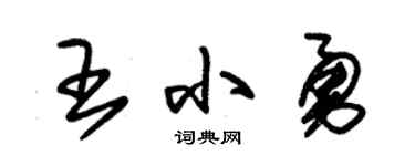 朱錫榮王小勇草書個性簽名怎么寫