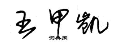 朱錫榮王甲凱草書個性簽名怎么寫