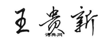 駱恆光王貴新行書個性簽名怎么寫