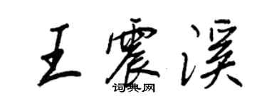 王正良王震溪行書個性簽名怎么寫