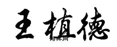 胡問遂王植德行書個性簽名怎么寫