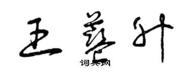 曾慶福王藍升草書個性簽名怎么寫