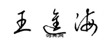 梁錦英王進海草書個性簽名怎么寫