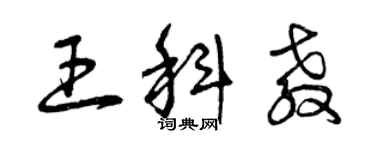 曾慶福王科教草書個性簽名怎么寫