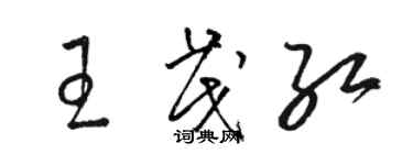 駱恆光王茂紅草書個性簽名怎么寫