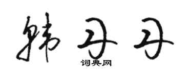 駱恆光韓丹丹草書個性簽名怎么寫