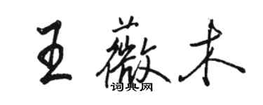 駱恆光王薇木行書個性簽名怎么寫