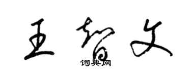 梁錦英王智文草書個性簽名怎么寫