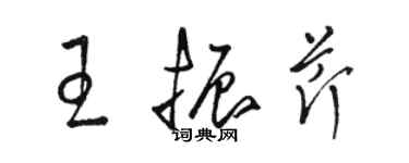 駱恆光王振芹草書個性簽名怎么寫