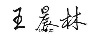 駱恆光王晨林行書個性簽名怎么寫