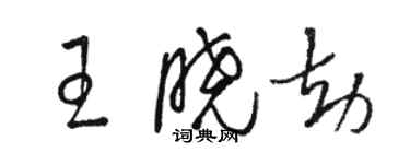 駱恆光王曉劫草書個性簽名怎么寫