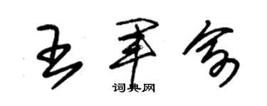 朱錫榮王軍俞草書個性簽名怎么寫