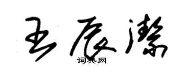 朱錫榮王辰潔草書個性簽名怎么寫