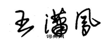 朱錫榮王瀟鳳草書個性簽名怎么寫