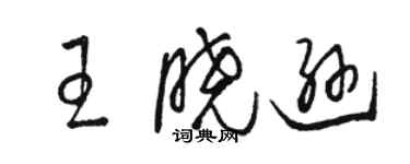 駱恆光王曉遜草書個性簽名怎么寫