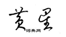 梁錦英黃星草書個性簽名怎么寫