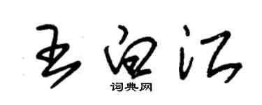 朱錫榮王白江草書個性簽名怎么寫