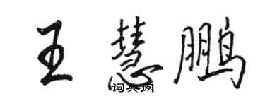 駱恆光王慧鵬行書個性簽名怎么寫