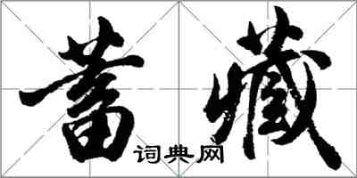 胡問遂蓄藏行書怎么寫