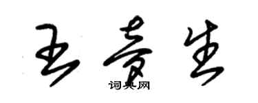 朱錫榮王夢生草書個性簽名怎么寫