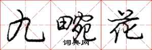 龐中華九畹花行書怎么寫