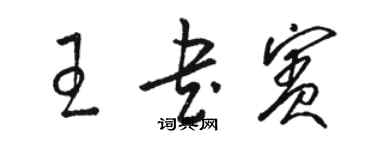 駱恆光王書賓草書個性簽名怎么寫