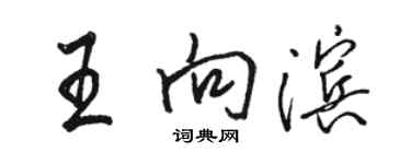 駱恆光王向濱行書個性簽名怎么寫