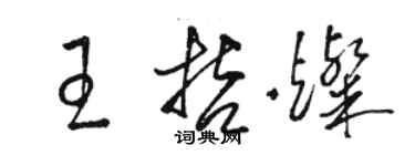 駱恆光王哲燦草書個性簽名怎么寫