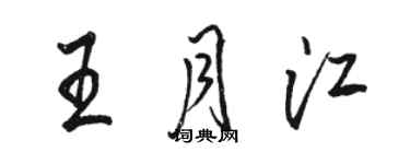 駱恆光王月江行書個性簽名怎么寫