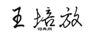 駱恆光王培放行書個性簽名怎么寫