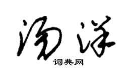 朱錫榮湯洋草書個性簽名怎么寫