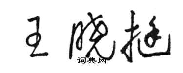 駱恆光王曉挺草書個性簽名怎么寫