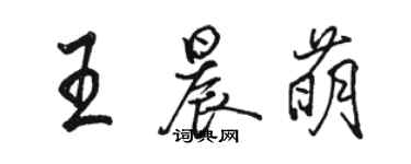 駱恆光王晨萌行書個性簽名怎么寫