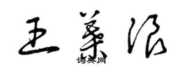 曾慶福王葉浪草書個性簽名怎么寫