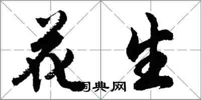 胡問遂花生行書怎么寫