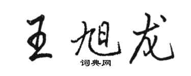 駱恆光王旭龍行書個性簽名怎么寫