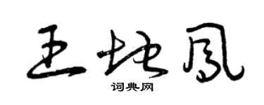 曾慶福王地鳳草書個性簽名怎么寫