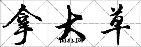 胡問遂拿大草行書怎么寫