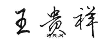 駱恆光王貴祥行書個性簽名怎么寫