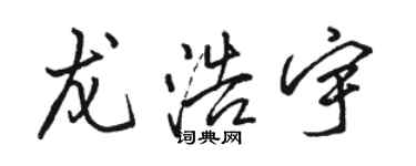 駱恆光龍浩宇行書個性簽名怎么寫