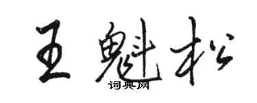 駱恆光王魁松行書個性簽名怎么寫