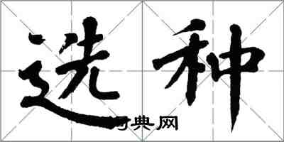 翁闓運選種楷書怎么寫