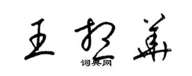 梁錦英王想華草書個性簽名怎么寫