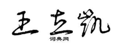 曾慶福王立凱草書個性簽名怎么寫