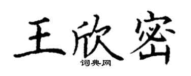 丁謙王欣密楷書個性簽名怎么寫