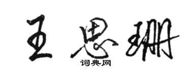 駱恆光王思珊行書個性簽名怎么寫