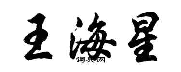 胡問遂王海星行書個性簽名怎么寫