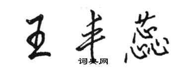 駱恆光王豐蕊行書個性簽名怎么寫